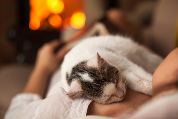 Vor einem offenen Kamin schläft eine Katze auf dem Bauch ihrer Besitzerin | Credit: iStock.com/ilona75
