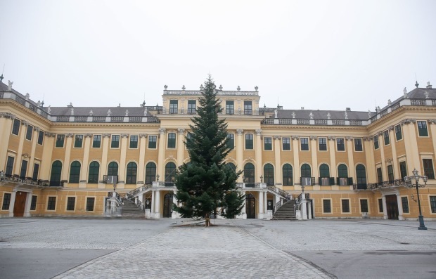 Frisch aufgestellter Christbaum vorm Schloss Schönbrunn| Credit: ÖBf-Archiv/Wolfgang Simlinger, www.weihnachtsmarkt.co.at/FOTOFALLY
