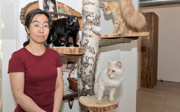 Café Neko in Wien | Credit: Thomas Blazina / dpa / picturedesk.com