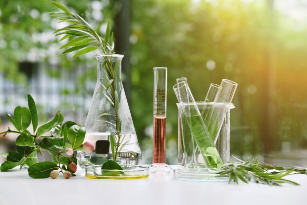 Natur im Glas | Credit: iStock.com/Artfully79
