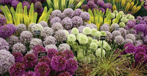 Chelsea Flower Show