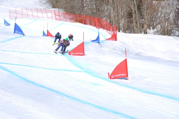 Skicross
