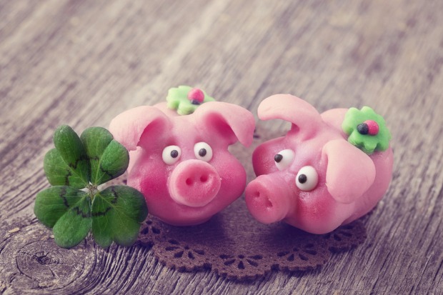 Zwei rosa Marzipanschweine und ein Glücksklee auf einem Tisch