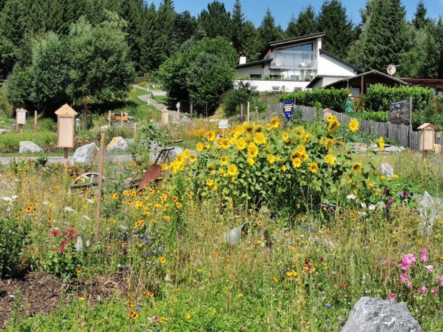 Bienenweg