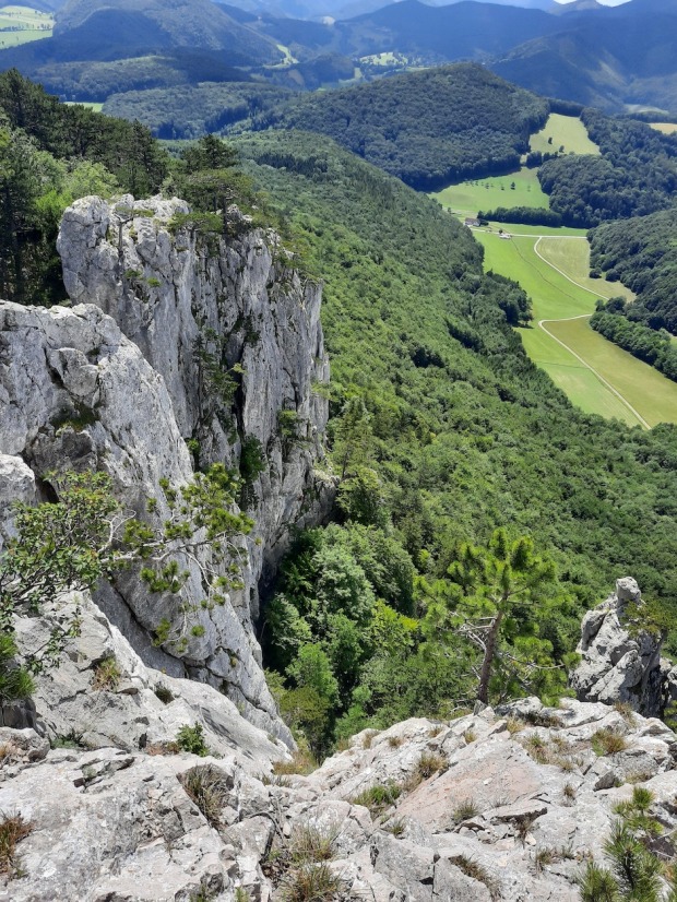 Wienerwald