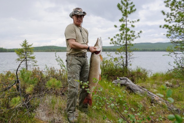 Putin hält einen riesigen Fisch bei den Kiemen