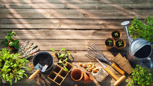 Eine Sammlung kleiner Gartengeräte | Credit: iStock.com/:AlexRaths