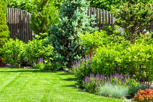 Ein mit Blumen und Sträuchern bepflanzter Garten | Credit: iStock.com/SVproduction