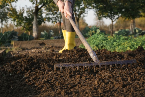 Frau beim Rasenrechen | Credit: iStock.com/triocean