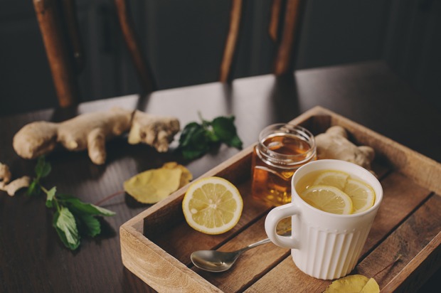 Tee mit Zitrone, Ingwer und Honig | Credit: iStock.com/Mkovalevskaya