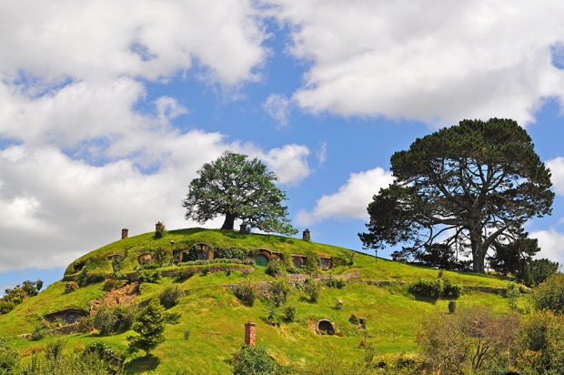 Matamata in Neuseeland | Credit: iStock.com/Mawardibahar