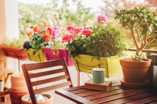 Pflanzen stehen am Balkon | Credit: iStock.com/AnnaNahabed
