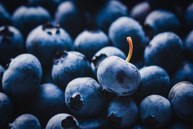 Frische Heidelbeeren | Credit: iStock.com/Nadya So