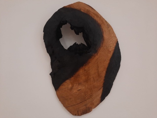 ecoart