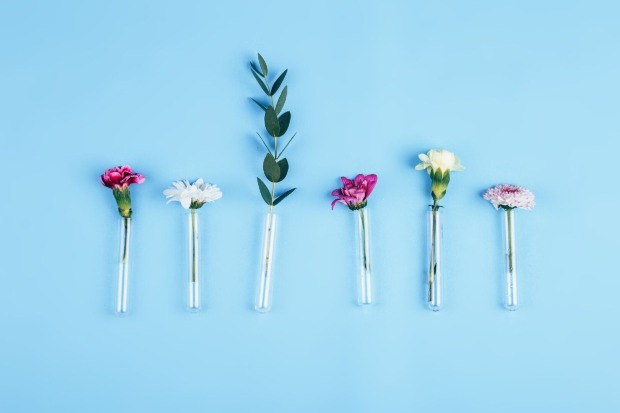 Reagenzgläser mit Blumen | Credit: iStock.com/Nestea06