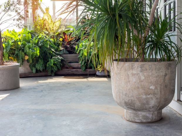 grauer Blumentopf auf der Terrasse | Credit: iStock.com/Techa Tungateja