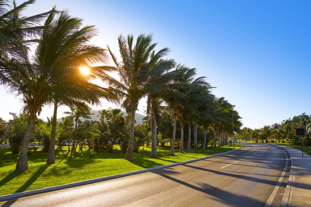 Palmengesäumte, menschenleere Straße rund um Cancún | Credit: iStock.com/LUNAMARINA