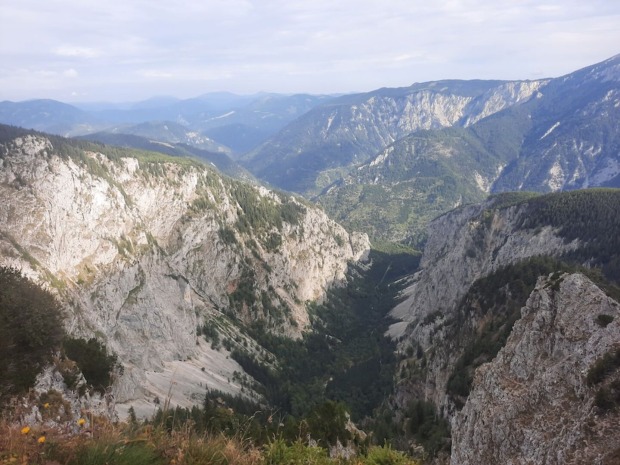 Bergsommer