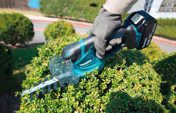 Mann bei der Gartenarbeit mit einer Grasschere von MAKITA in der Hand | Credit: ZGONC