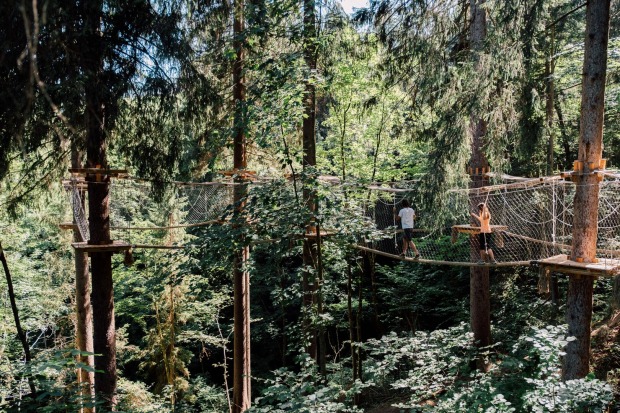 Baumparcours | Credit: TVB St. Johann im Pongau