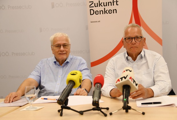 Friedrich Schneider, Gottfried Kneifel, IWS