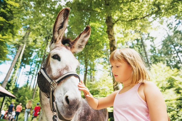 Junges Mädchen mit einem Esel im Wald | Credit: iStock.com/AnnaNahabed