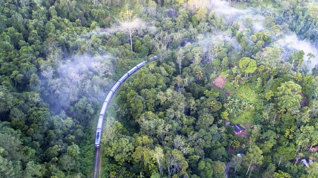 Zug in Sri Lanka fährt durch den Wald | Credit: iStock.com/MarisuLtu