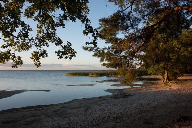 Strand an der Müritz | Credit: Pixabay