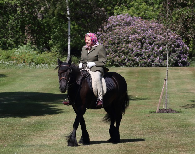 Queen Elizabeth II. auf einem ihrer Pferde