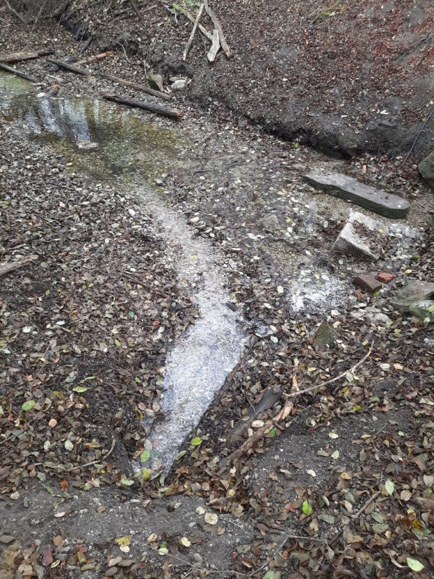 Wasser