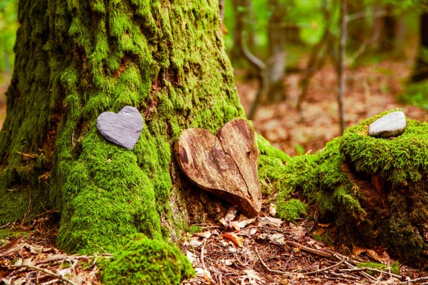 Ein von Moos bedeckter Baumstamm, dekoriert mit Herzen aus Holz und Stein
