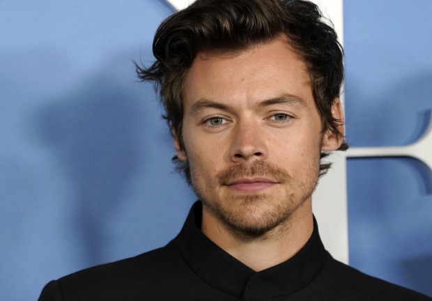 Sänger Harry Styles