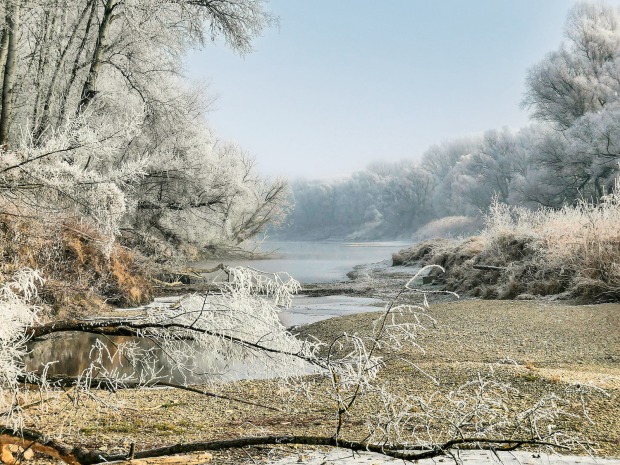 Donau Auen