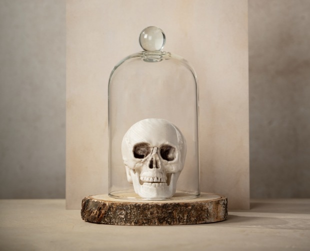 Totenkopf steckt in einer Glashaube | Credit: iStock.com/klenova