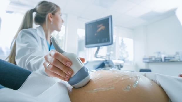 Ultraschalluntersuchung einer Schwangeren | Credit: iStock.com/gorodenkoff