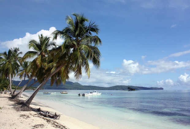 Strand und Plamen in der Dominikanische Republik