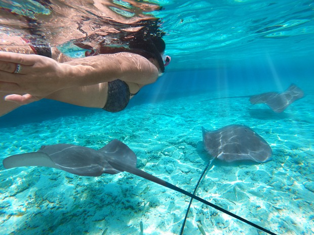 Frau schnorchelt mit Mantarochen. | Credit: iStock.com/nehomo