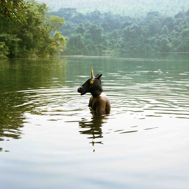 Verena Prenner, "Black Unicorn", 2020, 60x60, Fotografie/Fine Print auf Aludibond kaschiert