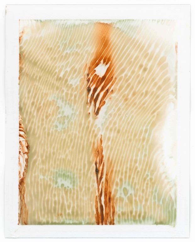 Roland Froschauer, "expired and exposed I", 2022, 132x105, Fotografie/Fine Art Print auf Büttenkarton