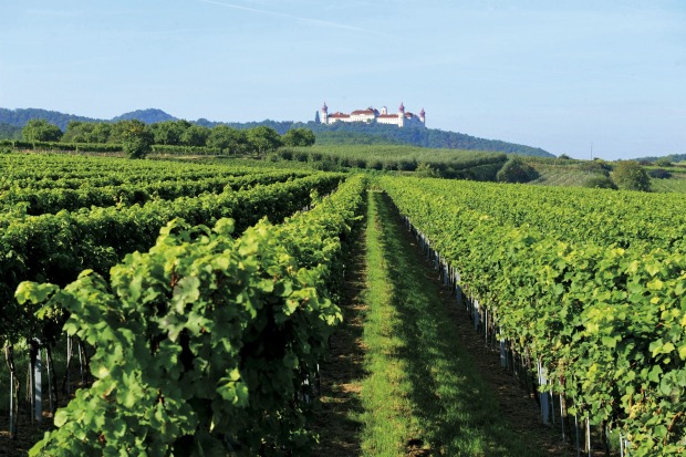 Stift Göttweig inmitten der Weinberge