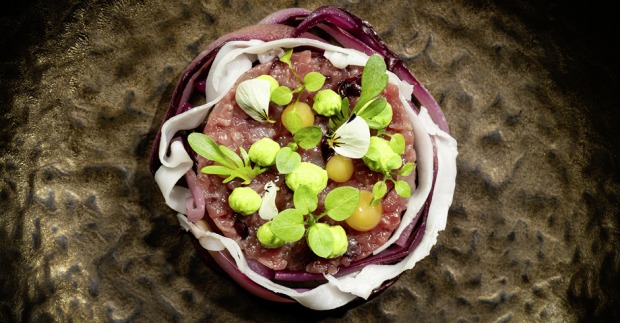 Lamm-Tatar
