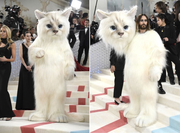 Jared Leto in seinem Katzen-Ganzköperkostüm.