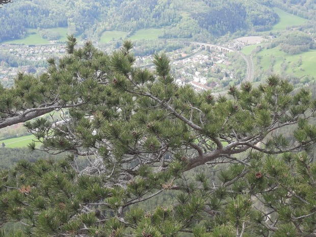 Payerbach