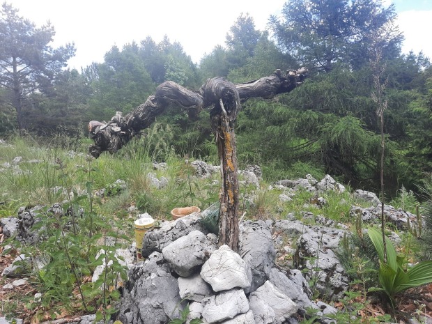 Vordere Mandling