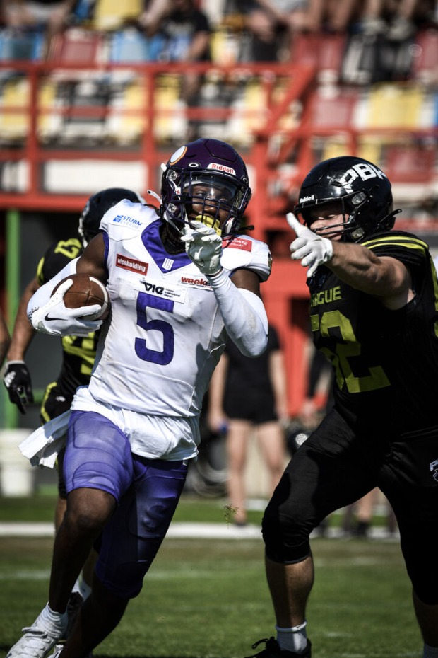 Vienna Vikings