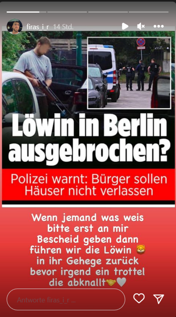 Screenshot einer Insta-Story. Schlagzeile: Löwin in Berlin ausgebrochen? Firas schreibt darunter: Wenn jemand was weiß, bitte mir Bescheid gebeen, dann führen wir die Löwin in ihr Gehege zurück, bevor irgendein Trottel die abknallt.