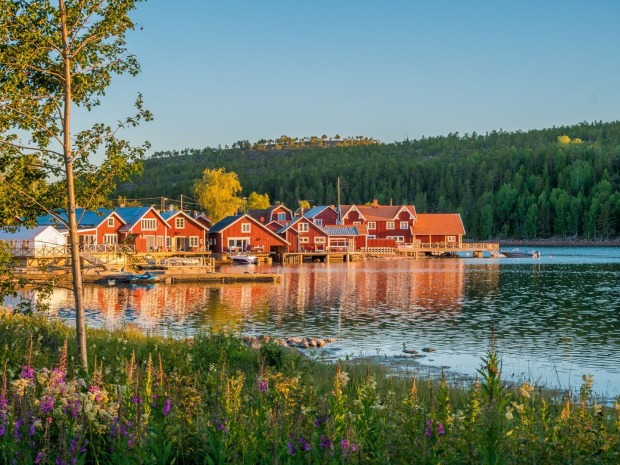 Flora von Schweden | Credit: iStock.com/Adam Höglund