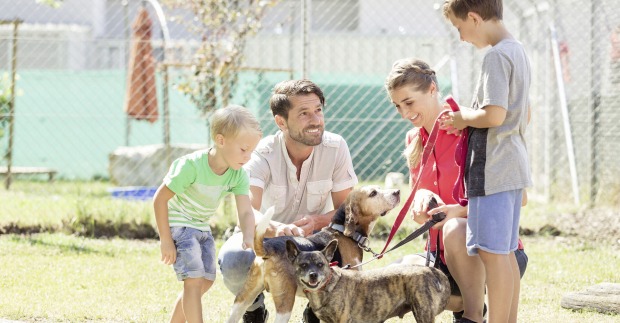 Kinder mit Hunden