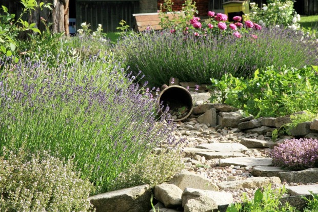 Mediterraner Garten mit Kiesweg | Credit: iStock.com/fotokate