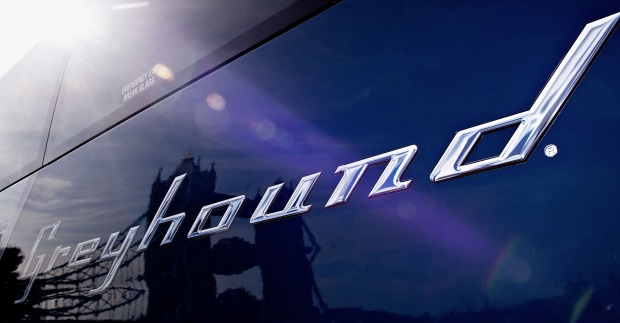 Greyhound